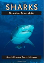 Sharks: The Animal Answer Guide